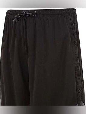 NWT Men’s Ascend Shorts